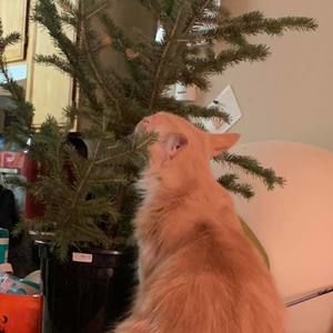 Meet your Posher, Catherine